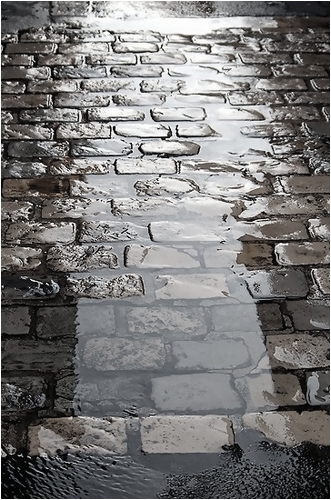 PAVE