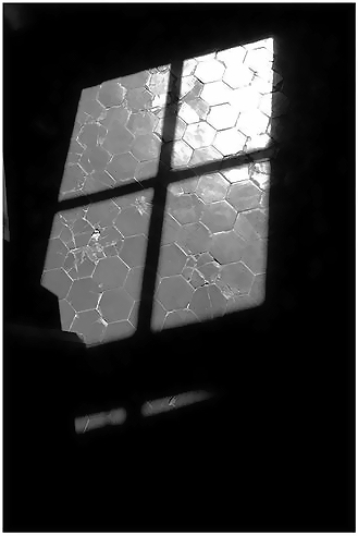 RENE  CHAR  une goutte de clarté.