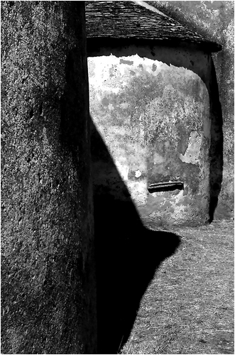 dogon