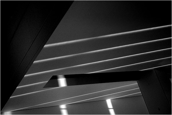 lines